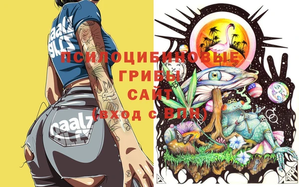 прущая мука Осинники